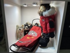 Steiff Fulda Schlitten + 4 Huskies je 15 cm + Puppe 40 cm. - Top Zustand