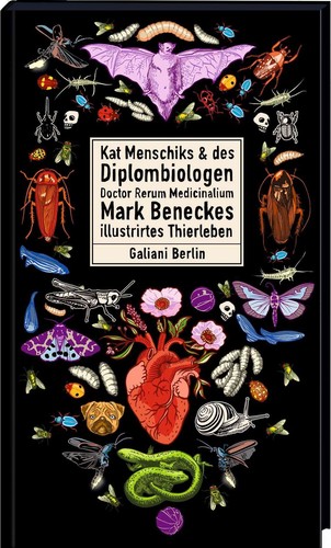 Kat menschiks und - und, des