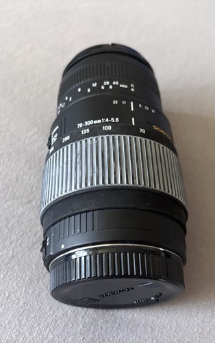 Sigma macro 300 mm - sigma,