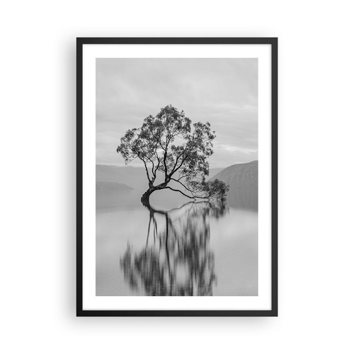 Wandbilder 50x70cm poster baum - wandbilder,