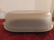 Kuchen-Container, Kuchen-Transportbehälter,  B 24 x L 40 x H 12 cm