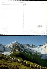 715951 Foto AK Tiroler