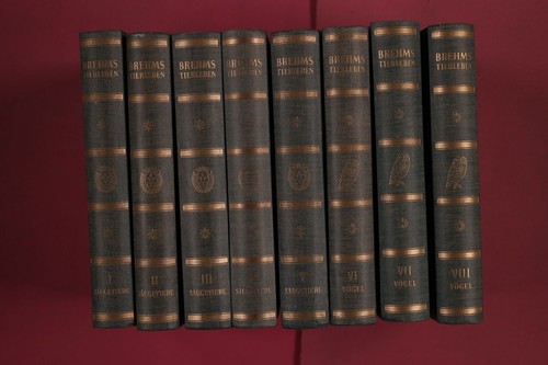283950 wilhelm kuhnert - wilhelm,