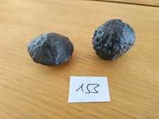 153 Moqui Marbles -Lebende