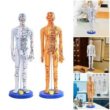 Chinesisches Akupunkturmodell