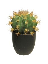 artplants Plastik Kaktus