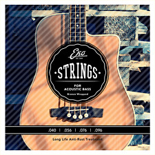 Eko Guitars Acoustic Bass