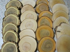 Holzscheiben set - x,