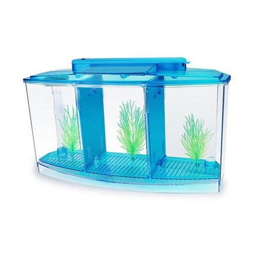 Zuchtbecken aquarium led - aquarium,,