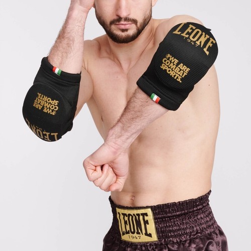 Paragomitis löwe kickboxen - paragomitis,