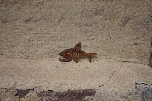 Fisch edelrost wandbild - in,