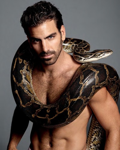 Nyle dimarco 8x10 - nyle, photo