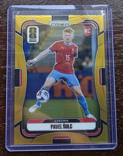 Pavel sulc true - pavel,
