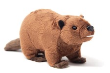 Kuscheltier - Biber - 24 cm