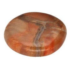 Versteinertes Holz Scheibenstein |flacher Edelstein Massagestein Handschmeichler