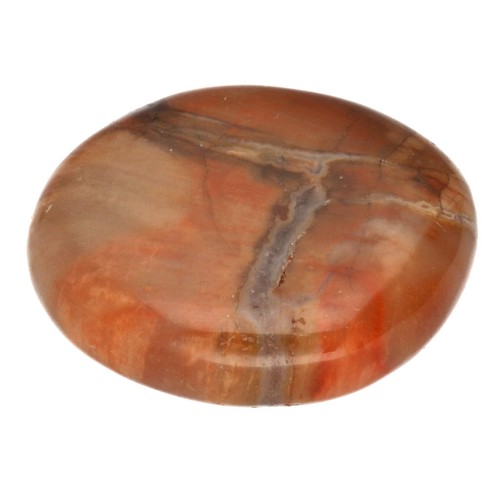 Versteinertes holz - versteinertes,