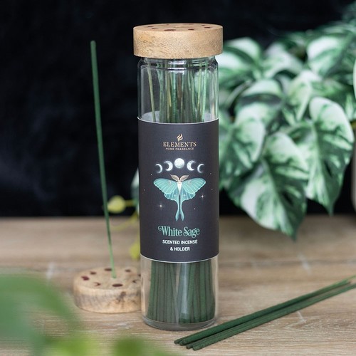 Dark forest white sage - forest,