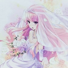 The Familiar of Zero Louise Finale Wedding Bride Dress Anime PVC Figur