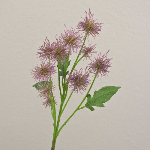 Artplants kugeldistel kunst - artplants,