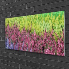 Glasbilder 100x50 wandbild - glasbilder,
