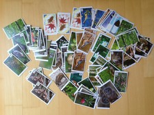 Unser Wald - Mit 180 Stickern die Natur entdecken - WWF - Edeka - 12 aussuchen