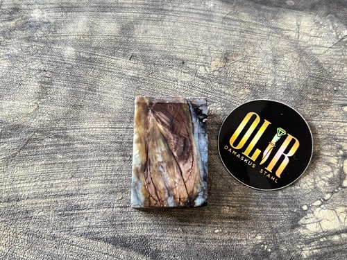 Olir fossil natur griffschalen - olir,