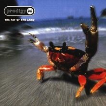 Fat of The Land  von Prodigy,the | CD | Zustand sehr gut