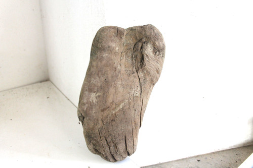 Schwemmholz treibholz - schwemmholz,