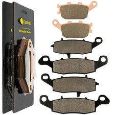 Caltric Front and Rear Brake