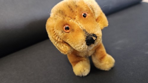 Hund bazi von steiff - bazi, aus