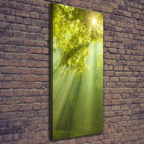 Leinwand bild kunstdruck - leinwand-bild,
