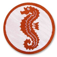 Schwimmabzeichen Easy on /