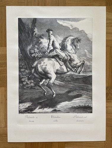 Kupferstich johann elias - kupferstich,
