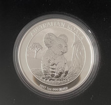 Koala 2017 Australien in