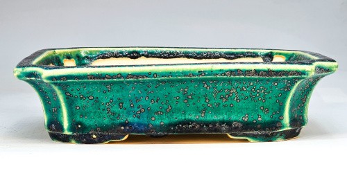 Bonsaischale koyo - bonsaischale,