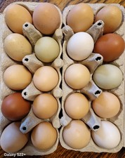 30 echte, ausgeblasene Eier / leere Hühnereier mit nur einem Loch