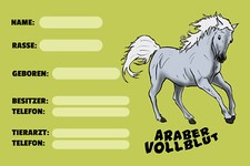 Holzschild 18x12 Pferd Araber