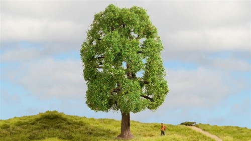 Noch 20100 baum - noch, esche