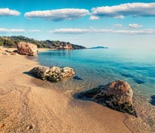 Wandbild: Buntes Sommer