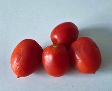 Tomatensamen - PIENNOLO DEL VESUVIO - Vesuv  Tomate - 10 Samen aus 2025