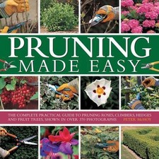 Pruning Made Easy: The