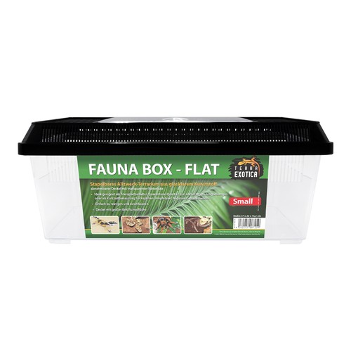 Fauna box flat small terrarium - fauna,