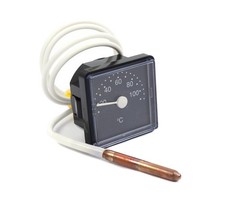 Vaillant Thermometer für