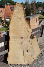 Baumscheibe Holzscheibe Groß