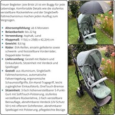 Buggy Joie Brisk LX mit Schirm