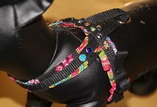 8419_Angeldog_Hundegeschirr_So