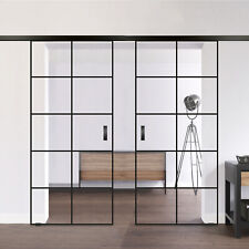 Doppel Glasschiebetür Industriedesign Black Soft Close 2-flügelig Komplettset
