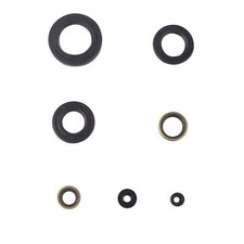 Motor Simmerring Dichtring Set