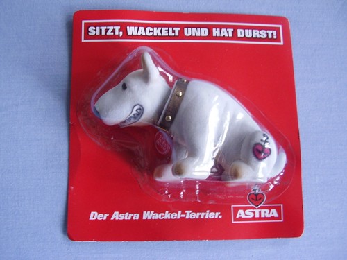 Astra wackel terrier - astra,