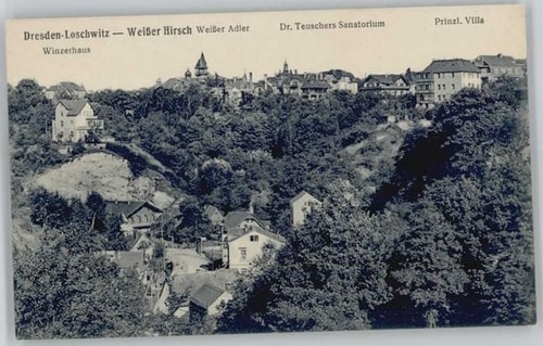 Loschwitz weisser hirsch villa - loschwitz,